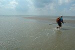 Mudflat hiking in the Waddensea